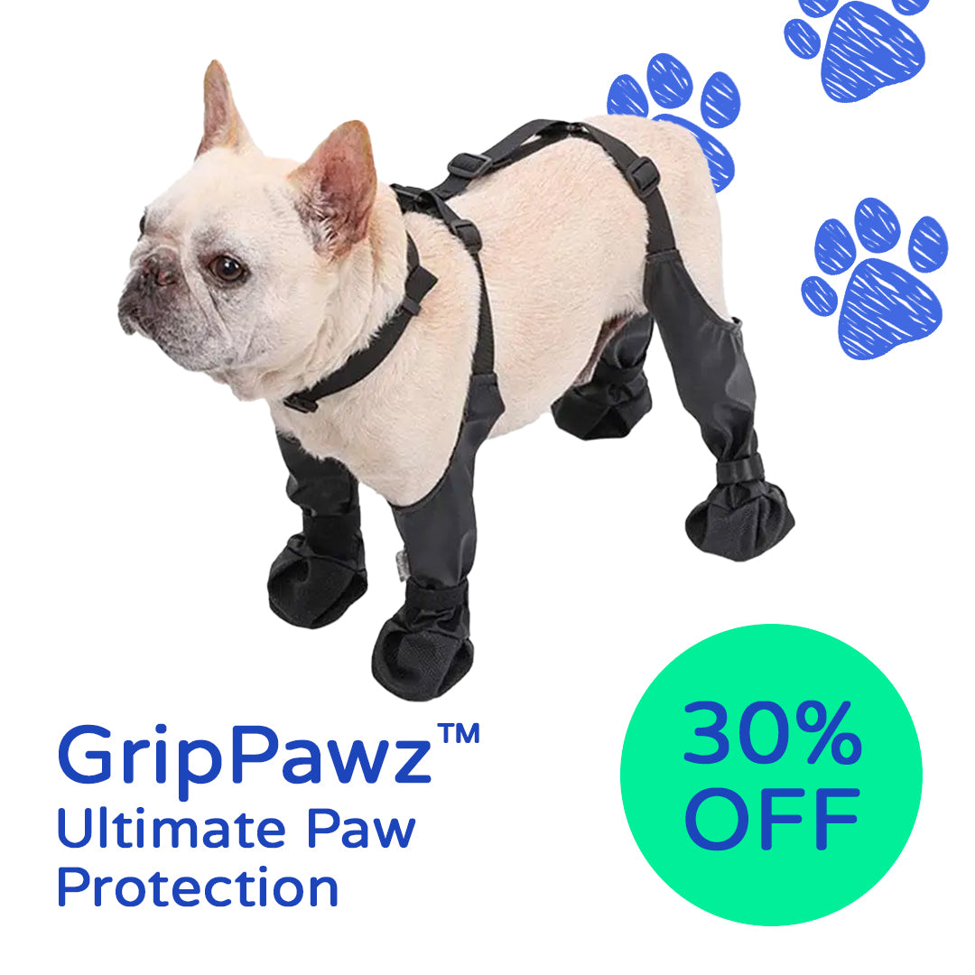 GripPawz™ Ultimate Paw Protection