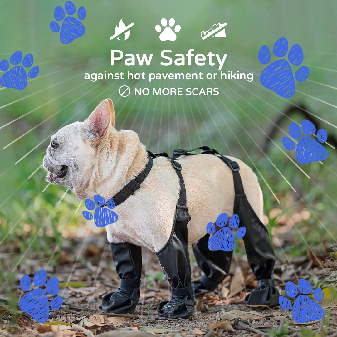 GripPawz™ Ultimate Paw Protection